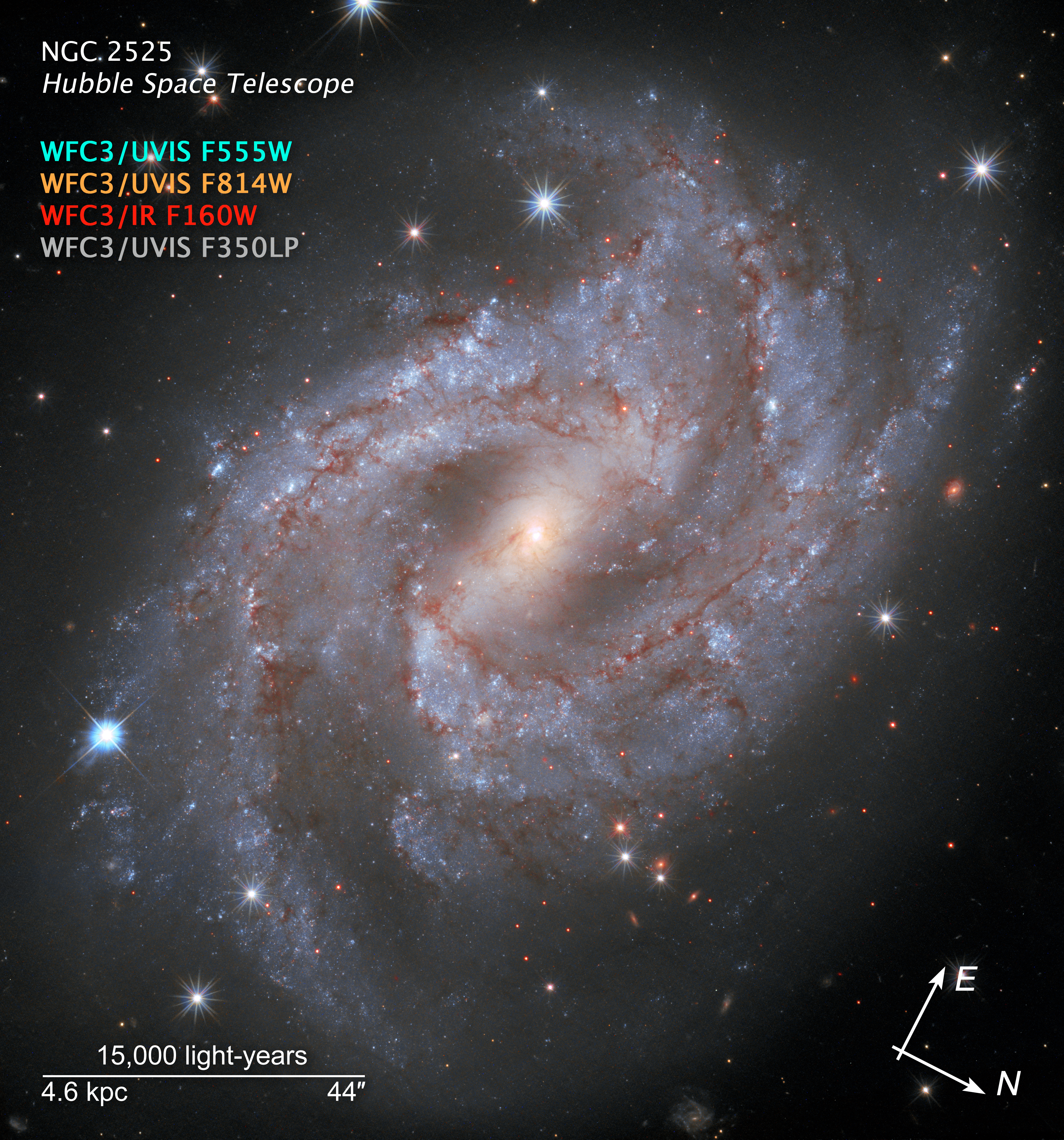 Compass Image for NGC 2525 - NASA Science